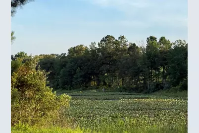 Lot 16 Reeves Street, Aiken, SC 29805 - Photo 4