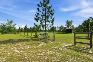 685 Centerwood Rd, Williston, SC 29853 - Photo 44
