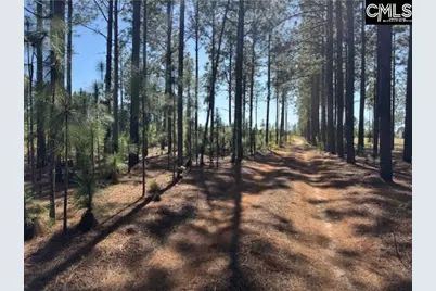 2419 Edgefield Highway, Aiken, SC 29801 - Photo 30
