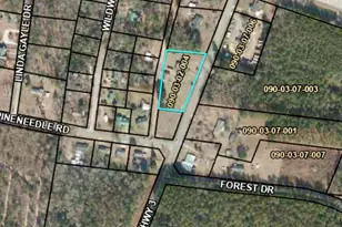 11565 Sc Hwy 3, Barnwell, SC 29812 - Photo 34