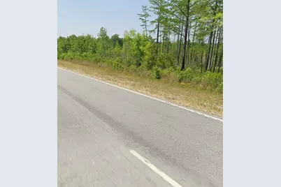 11430 Main Highway, Olar, SC 29843 - Photo 2