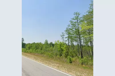 11430 Main Highway, Olar, SC 29843 - Photo 4
