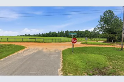 00 Bodie Road, Wagener, SC 29164 - Photo 8