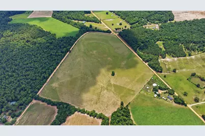 00 Bodie Road, Wagener, SC 29164 - Photo 16