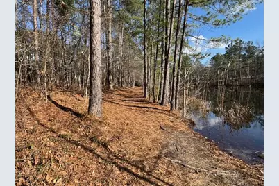 125 Golden Pond Court, Aiken, SC 29803 - Photo 30