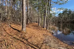 125 Golden Pond Ct, Aiken, SC 29803 - Photo 30