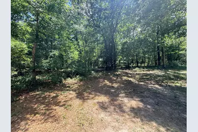612 Edisto Lake Road, Wagener, SC 29164 - Photo 36