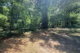 612 Edisto Lake Rd, Wagener, SC 29164 - Photo 36