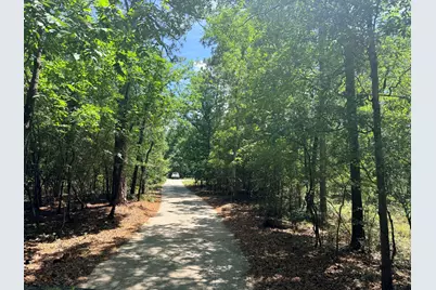 612 Edisto Lake Road, Wagener, SC 29164 - Photo 40