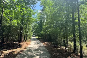 612 Edisto Lake Rd, Wagener, SC 29164 - Photo 40