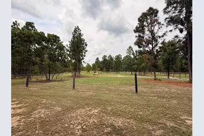 149 Pearl Bonnett Road, Windsor, SC 29856 - Photo 44
