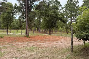 149 Pearl Bonnett Rd, Windsor, SC 29856 - Photo 42