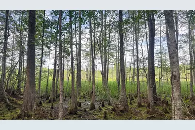 00 Goldenrod Drive, Barnwell, SC 29812 - Photo 2