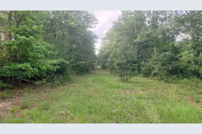 00 Goldenrod Drive, Barnwell, SC 29812 - Photo 12