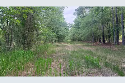 00 Goldenrod Drive, Barnwell, SC 29812 - Photo 14