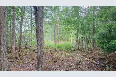 00 Goldenrod Drive, Barnwell, SC 29812 - Photo 4
