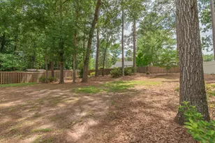 1163 Willow Woods Dr, Aiken, SC 29803 - Photo 42