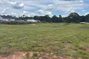 30 Willis Rd, Warrenville, SC 29851 - Photo 1