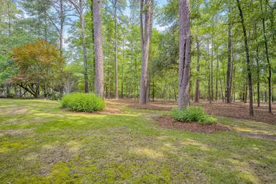 149 Gadwall Lane, Aiken, SC 29803 - Photo 54