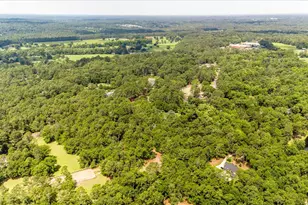 149 Gadwall Ln, Aiken, SC 29803 - Photo 48
