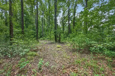 441 Stratford Lane, Barnwell, SC 29812 - Photo 44