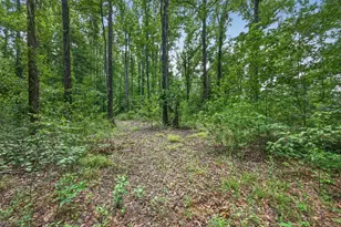 441 Stratford Ln, Barnwell, SC 29812 - Photo 44