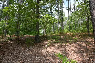 1163 Ridgemont Drive, Aiken, SC 29803 - Photo 44