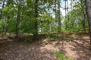 1163 Ridgemont Dr, Aiken, SC 29803 - Photo 44