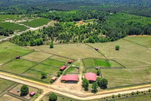929 Airport Rd, Johnston, SC 29832 - Photo 44
