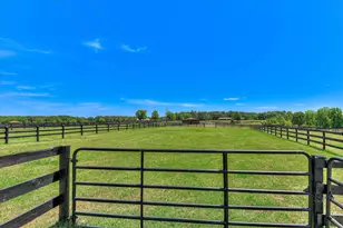 929 Airport Rd, Johnston, SC 29832 - Photo 76