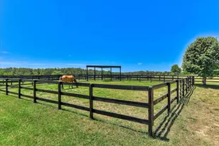 929 Airport Rd, Johnston, SC 29832 - Photo 84