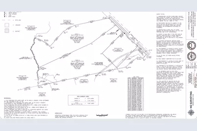0 Charleston Street #Lot B, Williston, SC 29853 - Photo 10