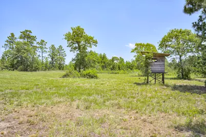 798 Big Branch Road, Wagener, SC 29164 - Photo 42