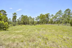 798 Big Branch Rd, Wagener, SC 29164 - Photo 42