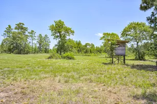 798 Big Branch Rd, Wagener, SC 29164 - Photo 44