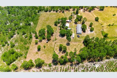 798 Big Branch Road, Wagener, SC 29164 - Photo 6