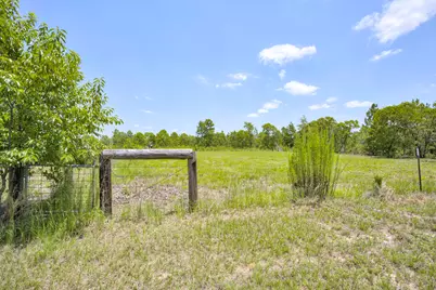 798 Big Branch Road, Wagener, SC 29164 - Photo 50