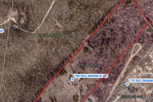 798 Big Branch Rd, Wagener, SC 29164 - Photo 62