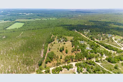 798 Big Branch Road, Wagener, SC 29164 - Photo 4