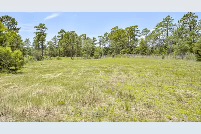798 Big Branch Road, Wagener, SC 29164 - Photo 40