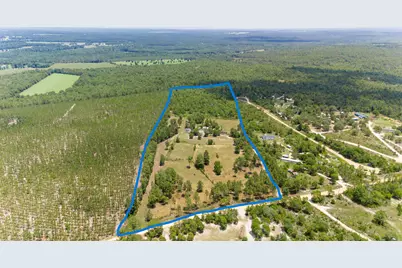 798 Big Branch Road, Wagener, SC 29164 - Photo 62