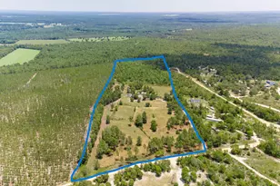 798 Big Branch Rd, Wagener, SC 29164 - Photo 62