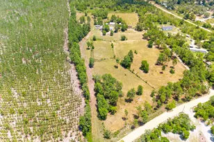 798 Big Branch Rd, Wagener, SC 29164 - Photo 40