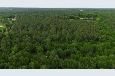 0 Lot 2 Holiness Church Road, Wagener, SC 29164 - Photo 6