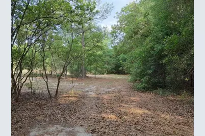 0 Lot 2 Holiness Church Road, Wagener, SC 29164 - Photo 14