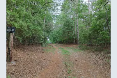 0 Lot 2 Holiness Church Road, Wagener, SC 29164 - Photo 22