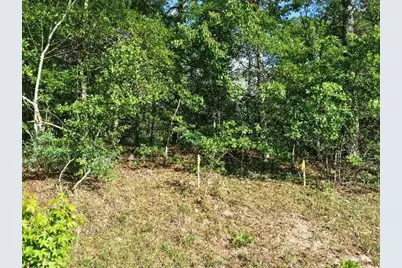0 Lot 2 Holiness Church Road, Wagener, SC 29164 - Photo 20