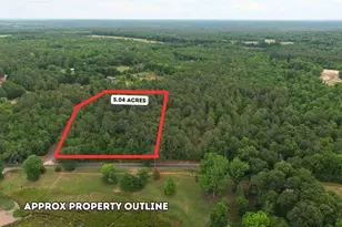 0 Lot 3 Holiness Church Rd, Wagener, SC 29164 - Photo 1