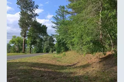 0 Lot 3 Holiness Church Road, Wagener, SC 29164 - Photo 4