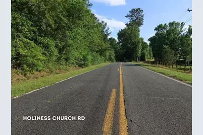 0 Lot 3 Holiness Church Road, Wagener, SC 29164 - Photo 8